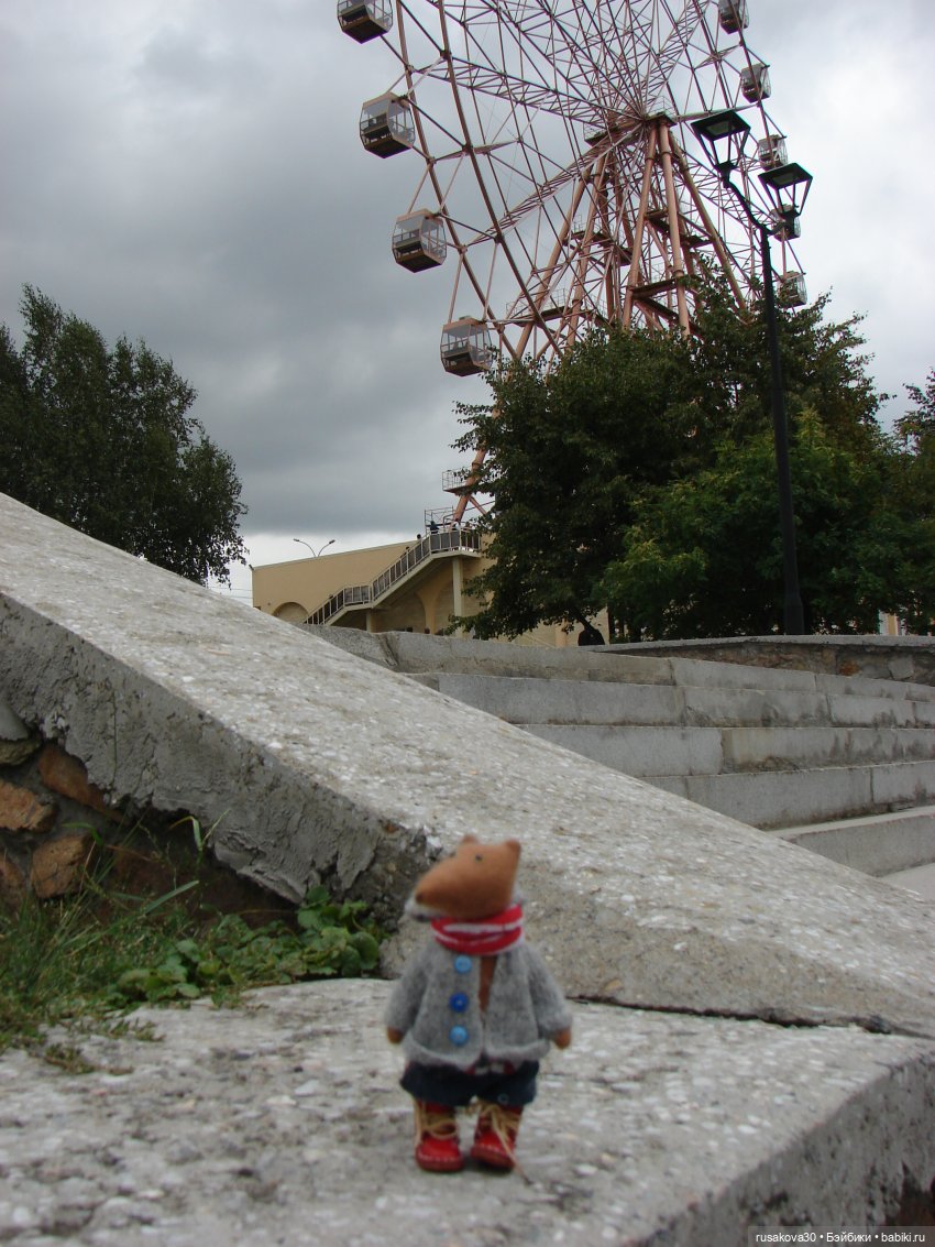 Рыжики летят в Новосибирск