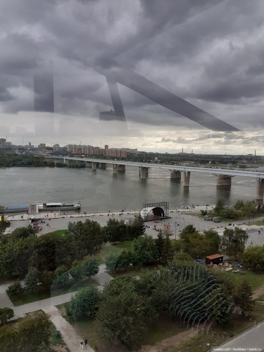 Рыжики летят в Новосибирск