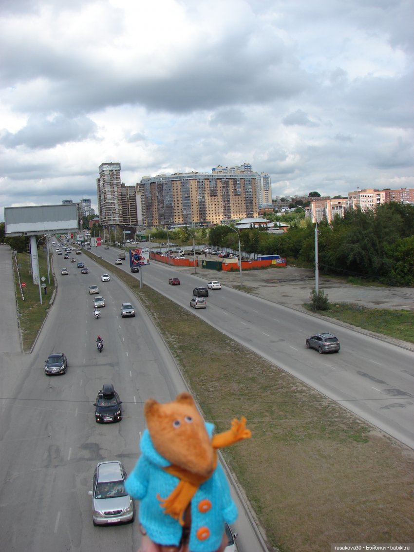 Рыжики продолжают знакомится с Новосибирском