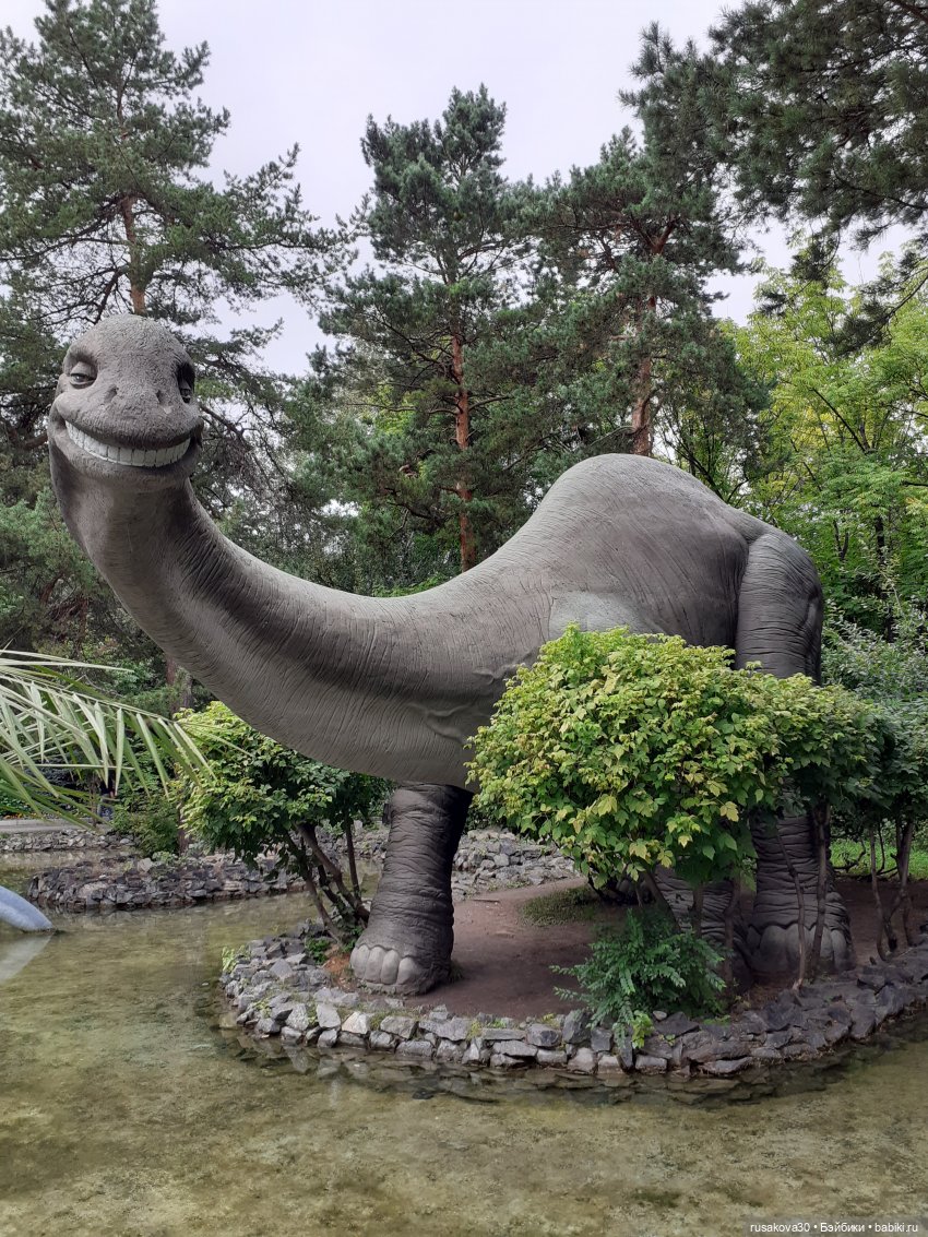 Рыжики продолжают знакомится с Новосибирском (фото 5)