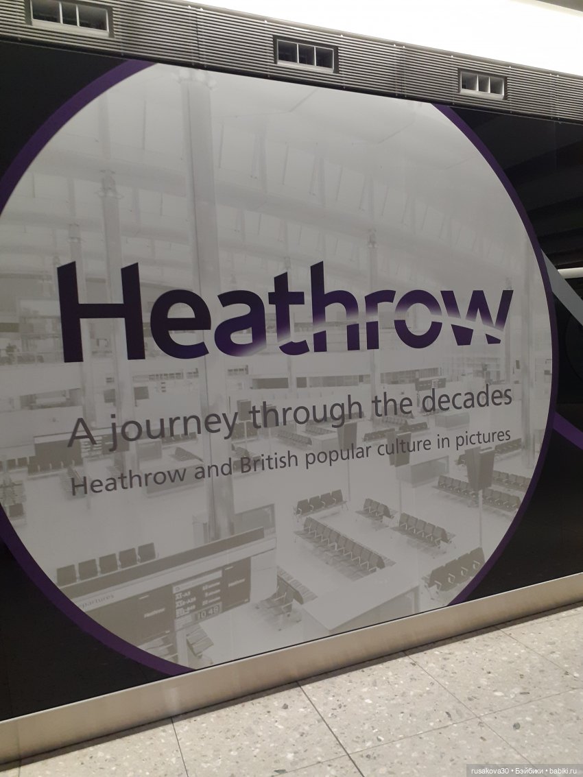 Рыжики летят в Новосибирск