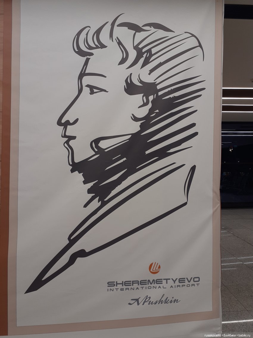 Рыжики летят в Новосибирск (фото 3)