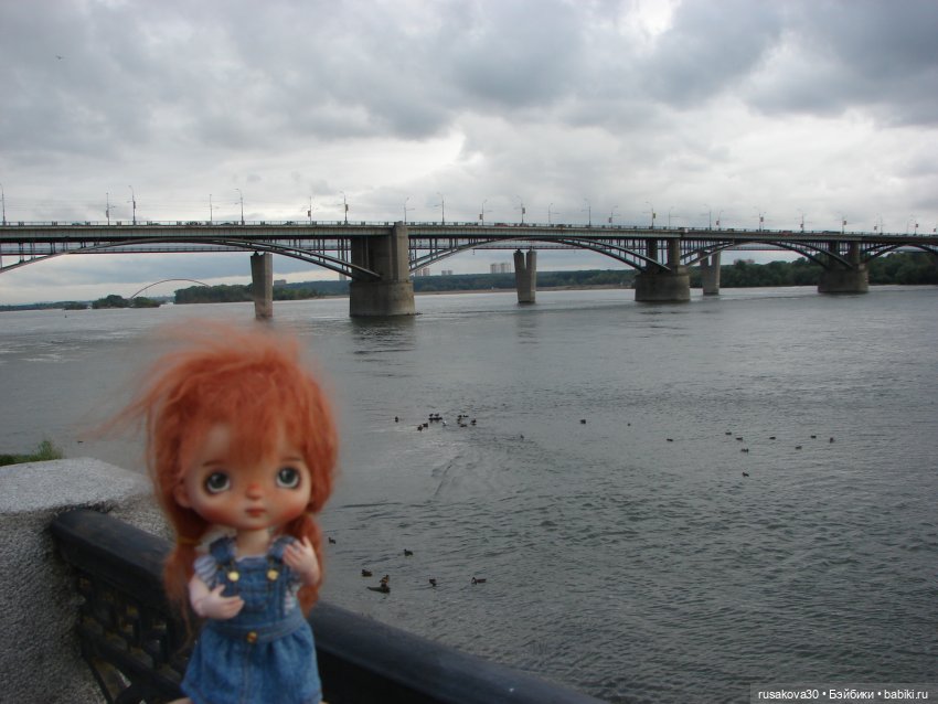 Рыжики летят в Новосибирск