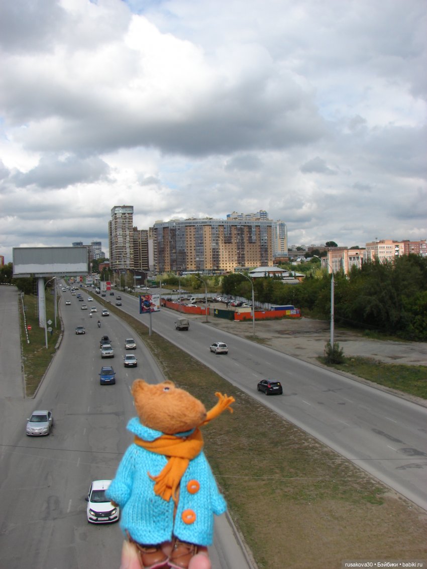 Рыжики летят в Новосибирск