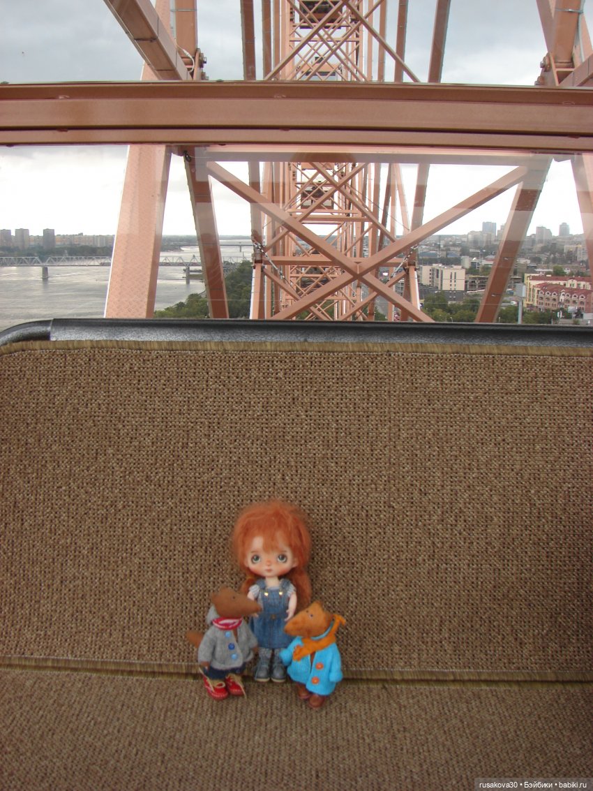 Рыжики летят в Новосибирск