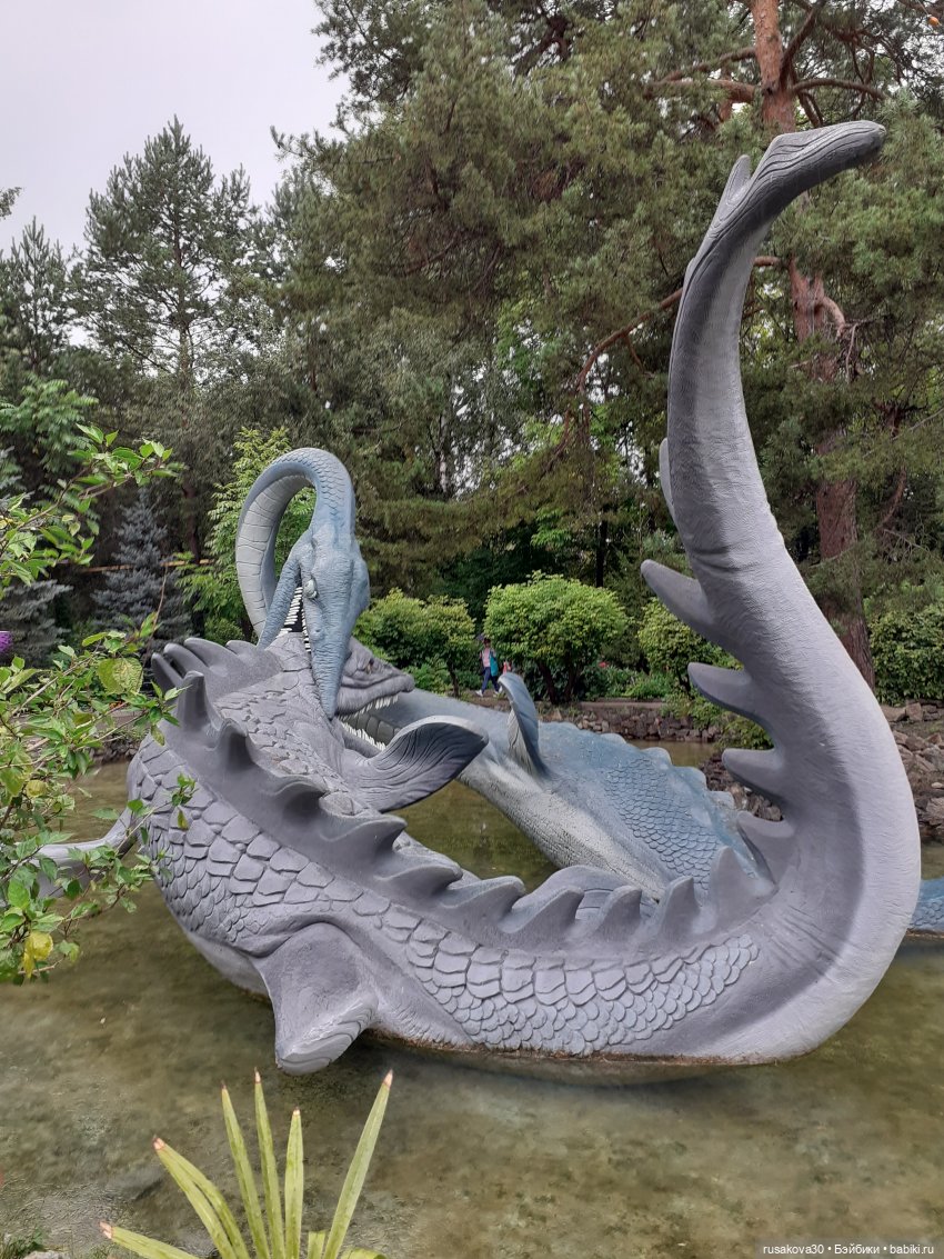 Рыжики продолжают знакомится с Новосибирском (фото 6)