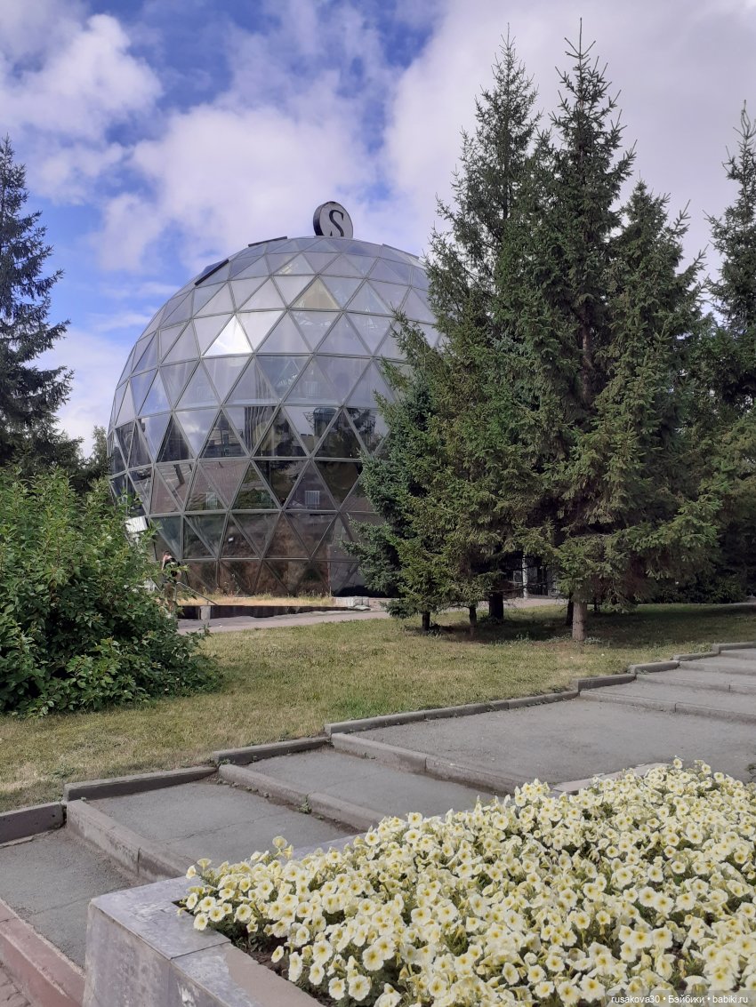 Рыжики летят в Новосибирск (фото 10)