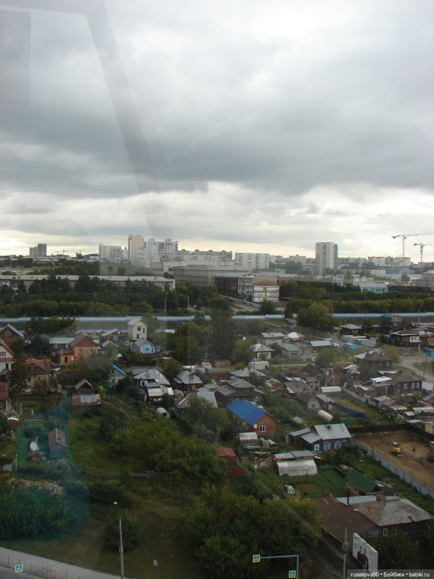 Рыжики летят в Новосибирск