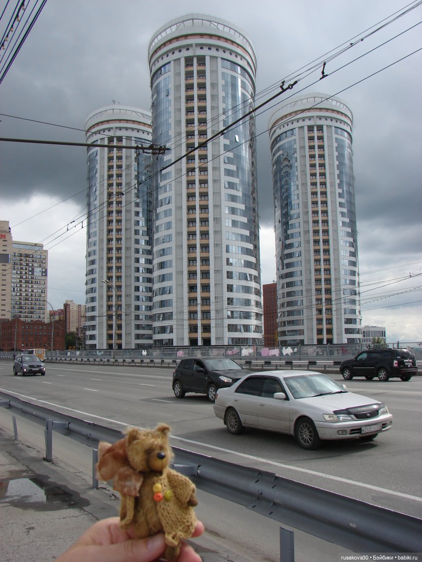 Рыжики летят в Новосибирск