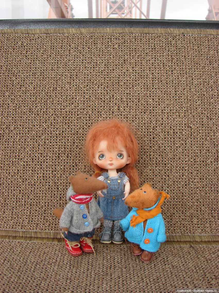 Рыжики летят в Новосибирск (фото 6)