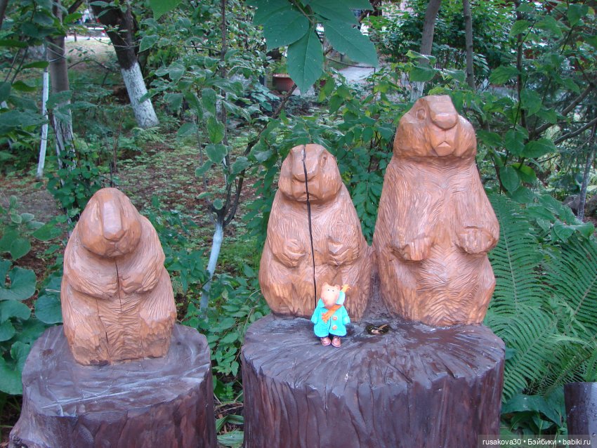 Рыжики продолжают знакомится с Новосибирском