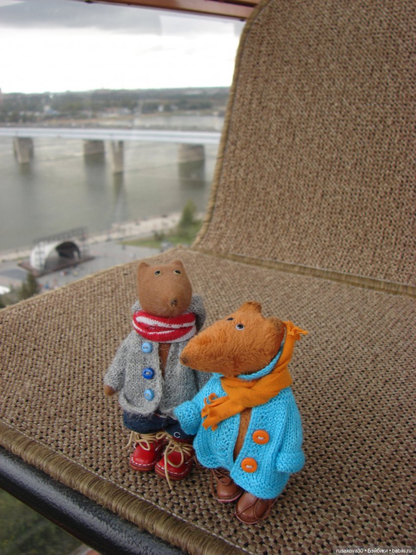 Рыжики летят в Новосибирск