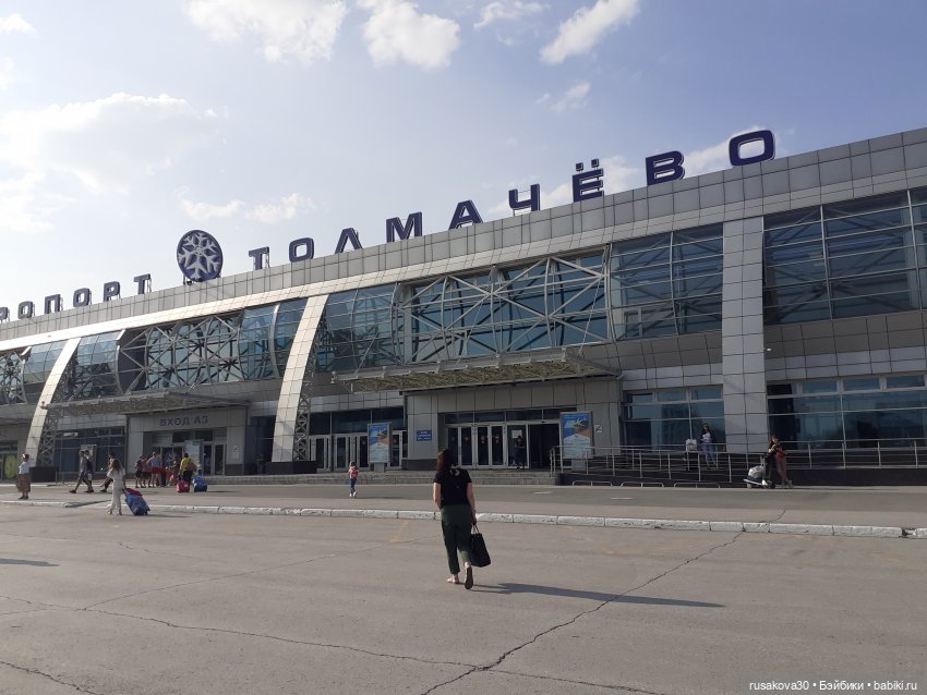 Рыжики летят в Новосибирск (фото 5)