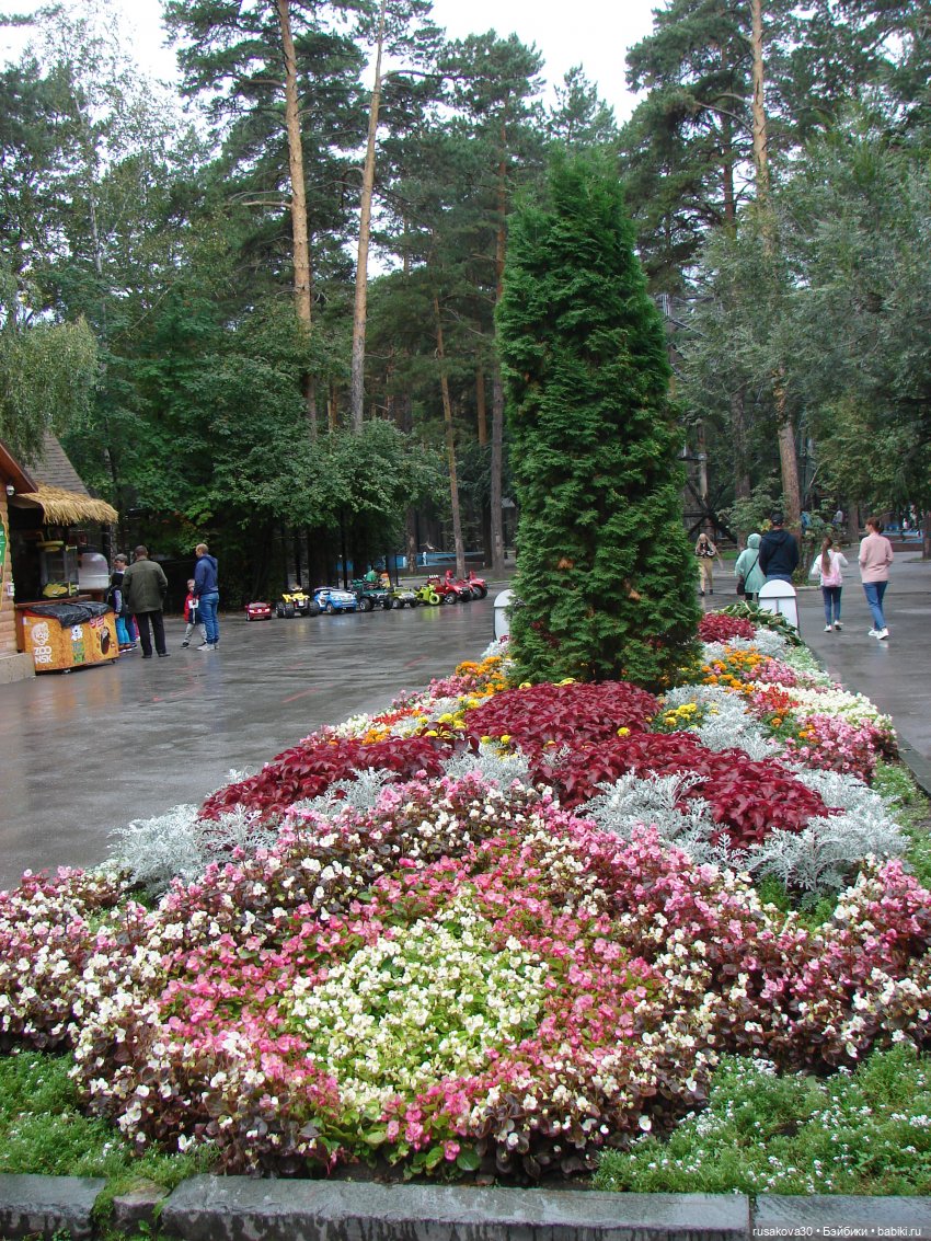 Рыжики продолжают знакомится с Новосибирском (фото 4)