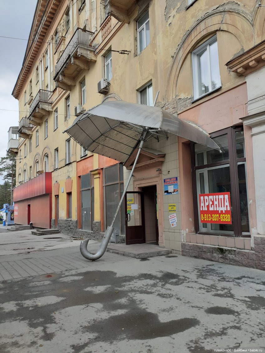 Рыжики продолжают знакомится с Новосибирском