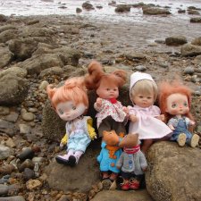 Рыжики пошли косяком