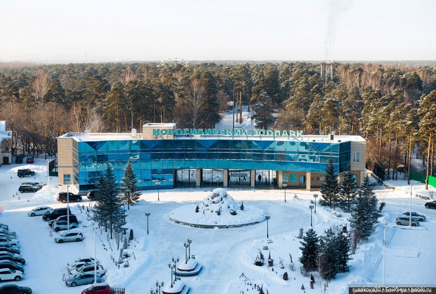 ПозитиФФчик — Авторские мишки Тедди и друзья: фото (фото 4)