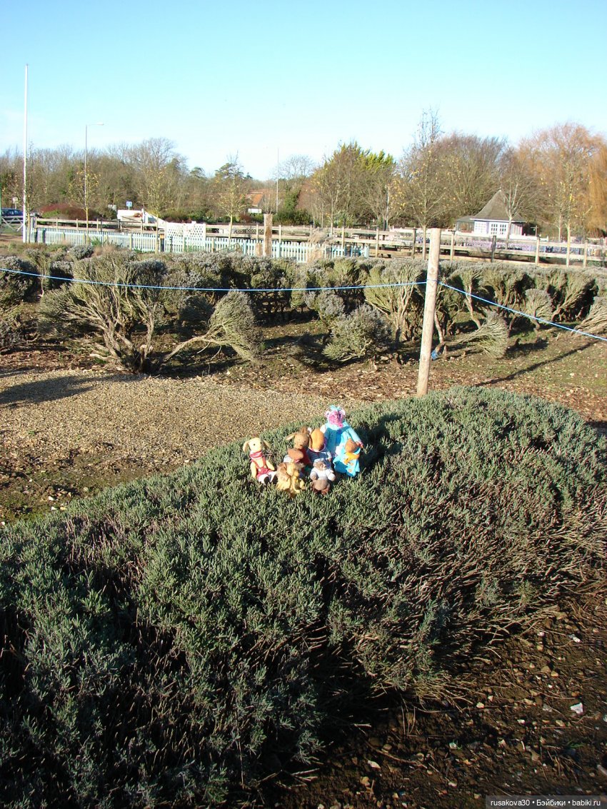 Хвостики гуляют — Авторские мишки Тедди и друзья: фото (фото 4)