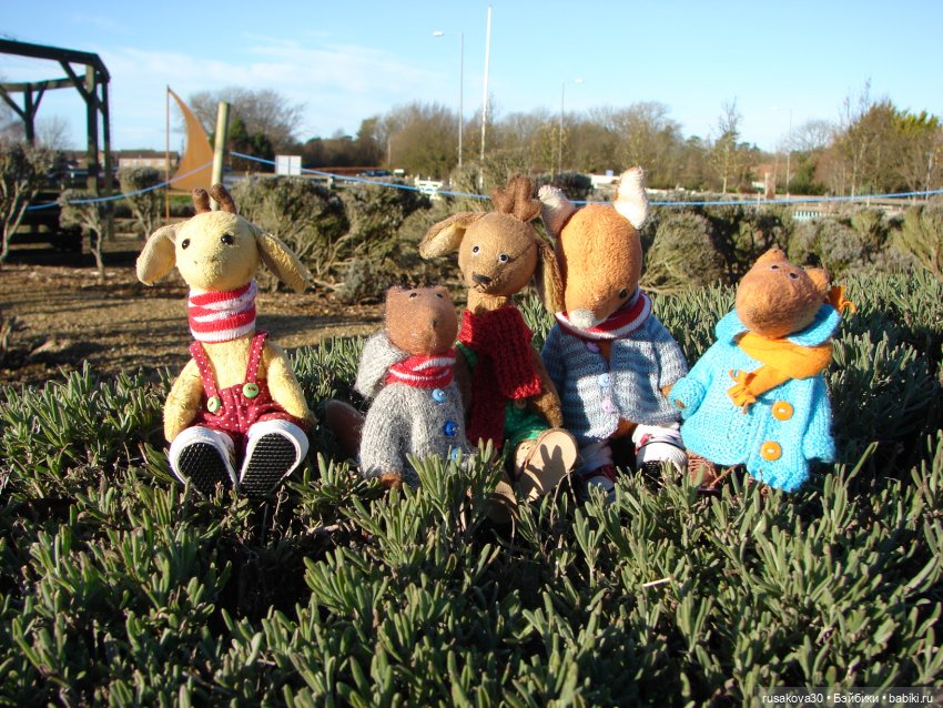 Хвостики гуляют — Авторские мишки Тедди и друзья: фото (фото 5)