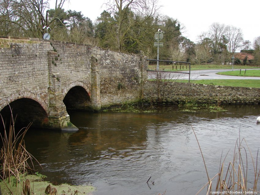 Мои Машки не сидят в кармашках (фото 5)