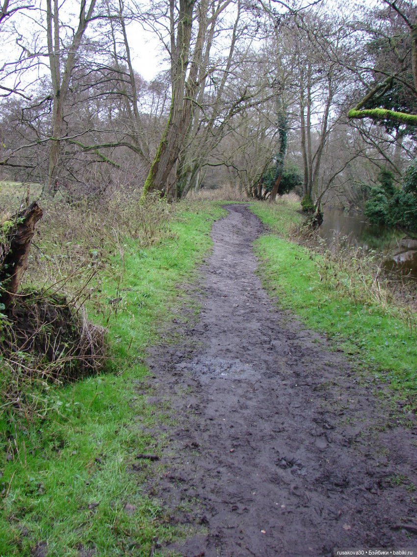 Мои Машки не сидят в кармашках (фото 10)