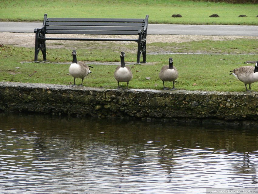 Мои Машки не сидят в кармашках (фото 9)