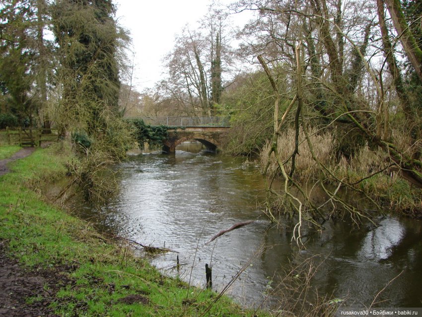 Мои Машки не сидят в кармашках (фото 6)