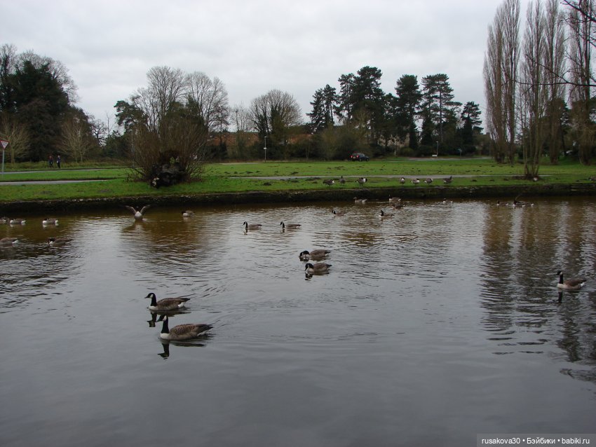 Мои Машки не сидят в кармашках (фото 7)