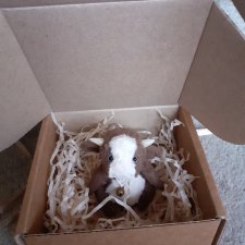 Гаврюша приехал