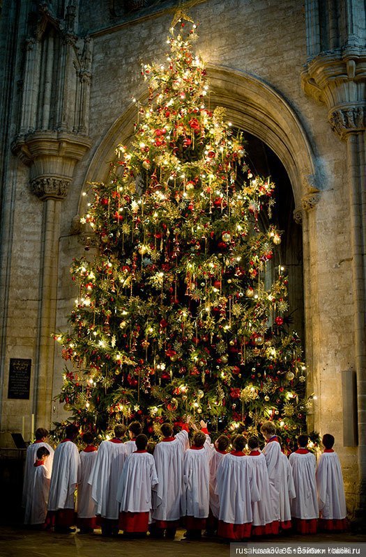 Гаврюша путешествует — Авторские мишки Тедди и друзья: фото (фото 9)