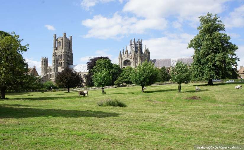 Гаврюша путешествует — Авторские мишки Тедди и друзья: фото (фото 6)