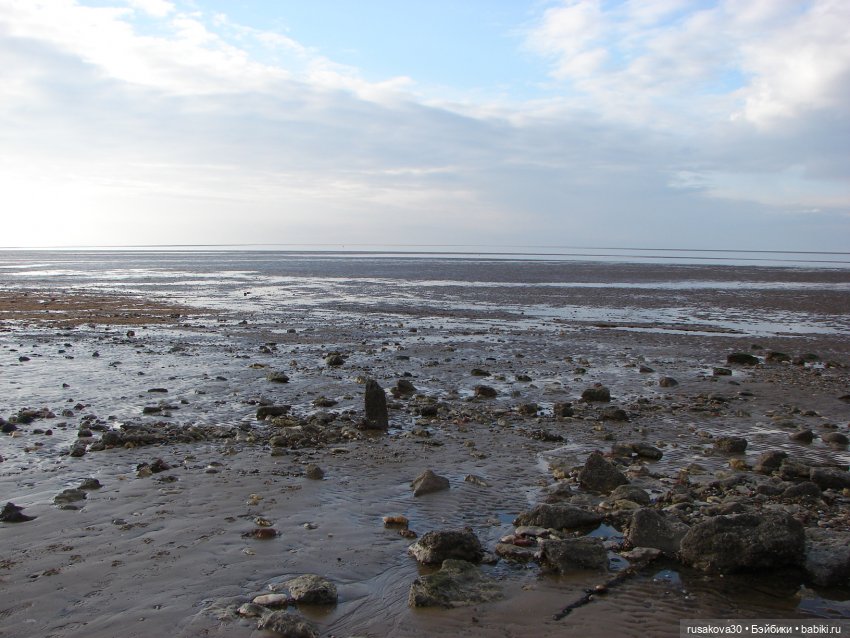Гаврюша продолжает путешествовать (фото 4)