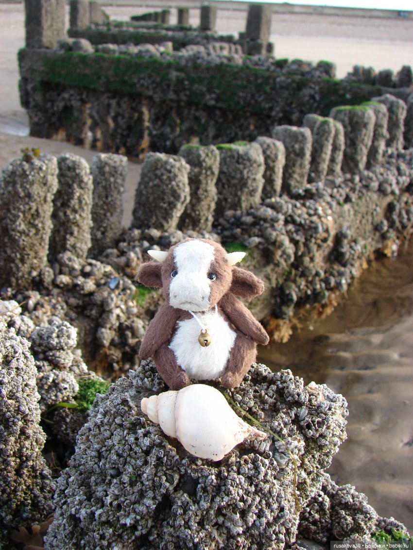 Гаврюша продолжает путешествовать (фото 10)