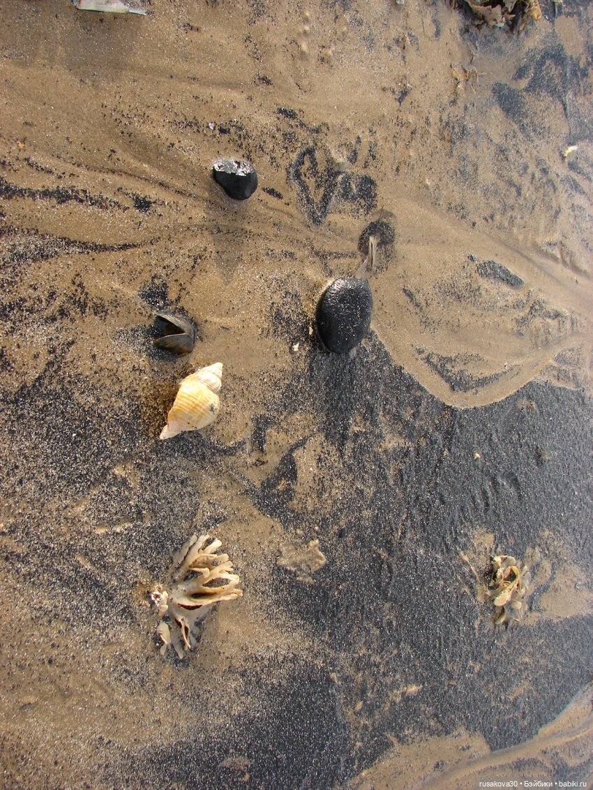 Гаврюша продолжает путешествовать