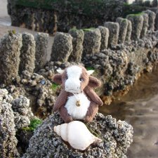 Гаврюша продолжает путешествовать