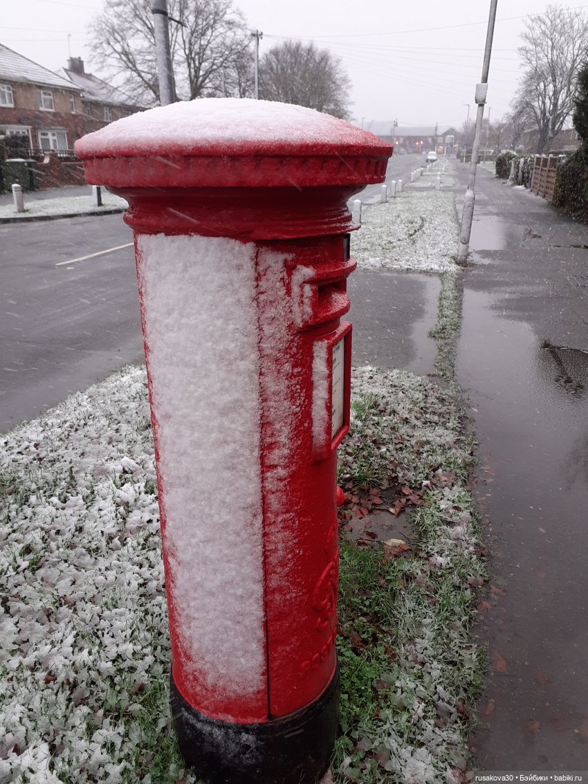 Как Людвиг письмо Санта Клаусу писал (фото 9)