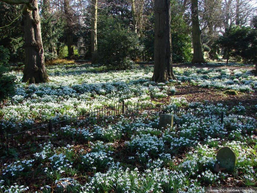 Куклы от Хелен Киш - Весна (фото 8)