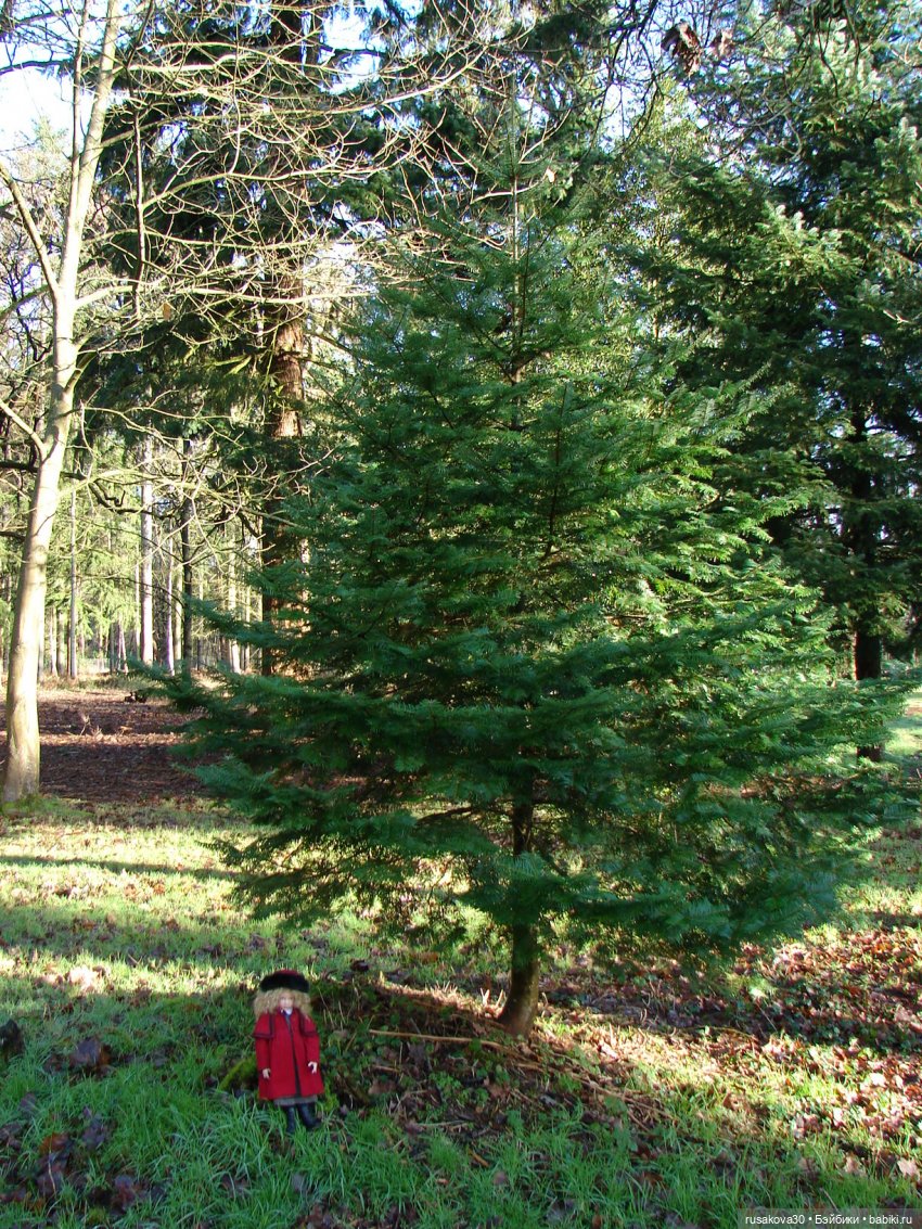 Куклы от Хелен Киш - Сонечка