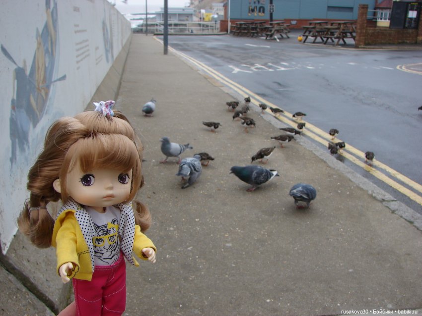 Маруська путешествует — Куклы Xiaomi Monst (Сяоми) и Pipitom: шарнирные (фото 9)