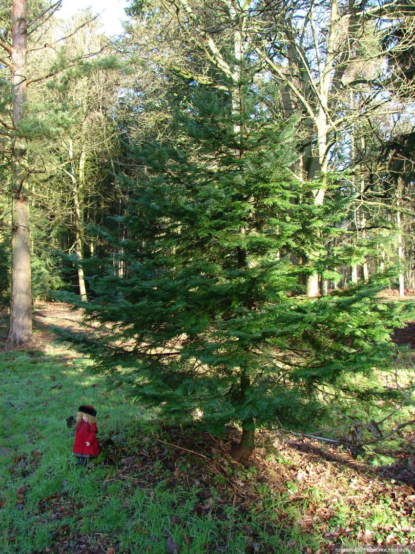 Куклы от Хелен Киш - Сонечка