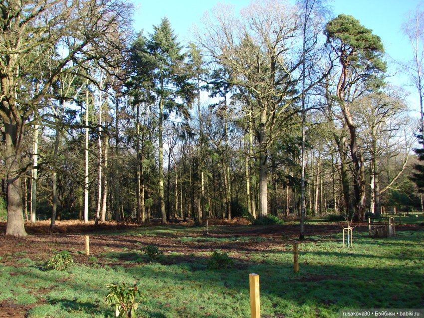 Куклы от Хелен Киш - Сонечка