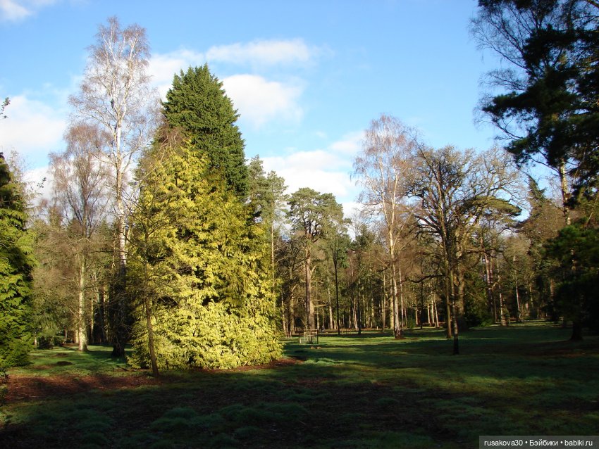 Куклы от Хелен Киш - Сонечка (фото 9)