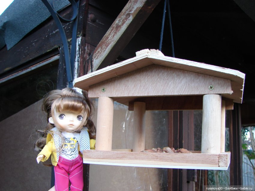 Маруська путешествует — Куклы Xiaomi Monst (Сяоми) и Pipitom: шарнирные