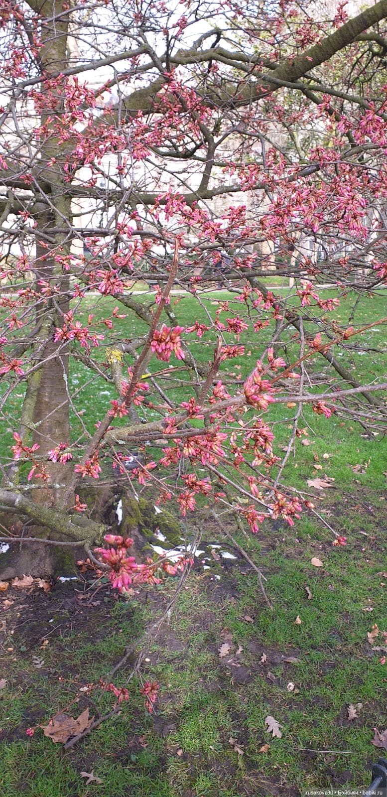 Поездка в Лондон. (продолжение)