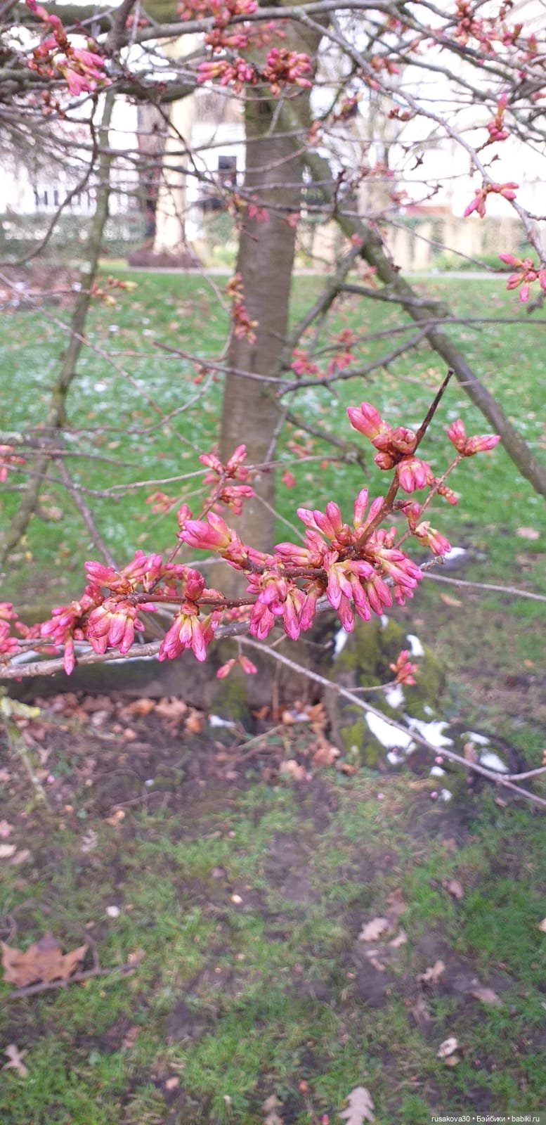 Поездка в Лондон. (продолжение)