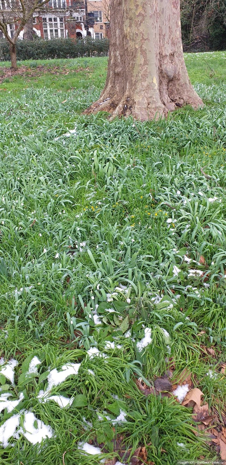 Поездка в Лондон. (продолжение)