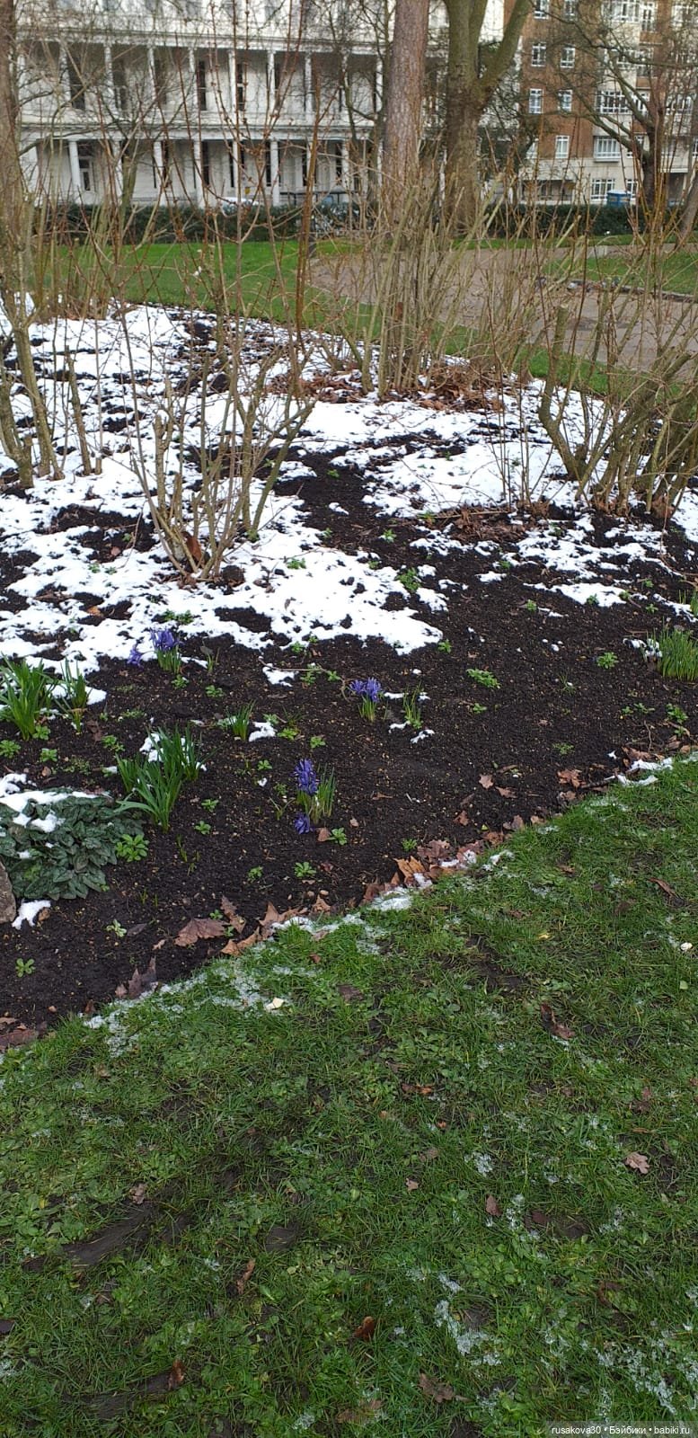 Поездка в Лондон. (продолжение)