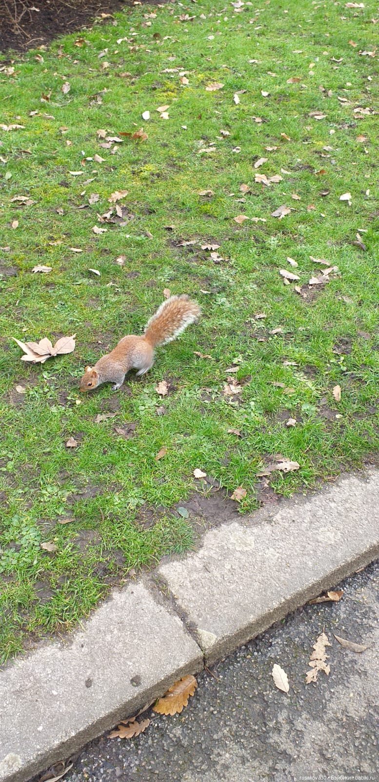 Поездка в Лондон. (продолжение)