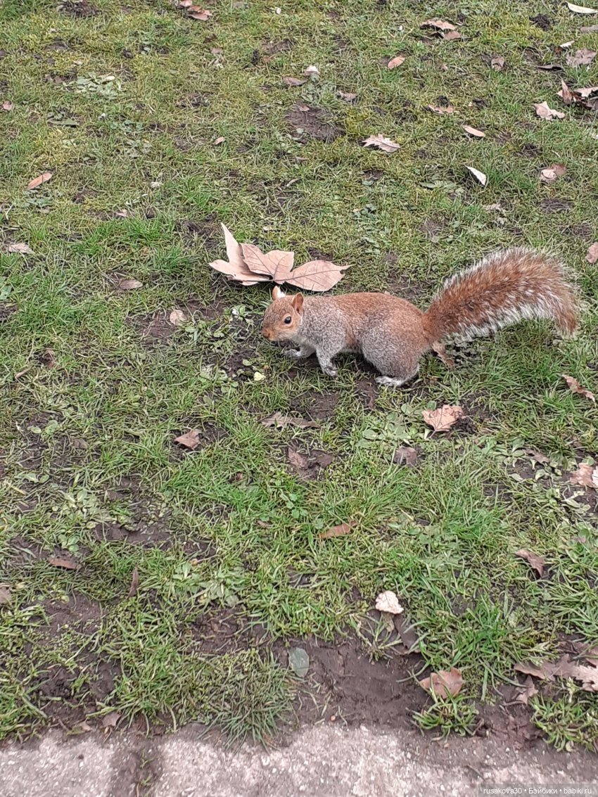Поездка в Лондон. (продолжение)