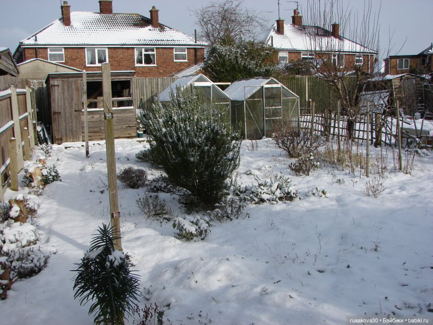 Будни Маруси | Бэйбики Будни Маруси — Разные шарнирные куклы (не БЖД): редкие